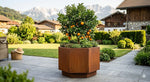 Pflanztrog 